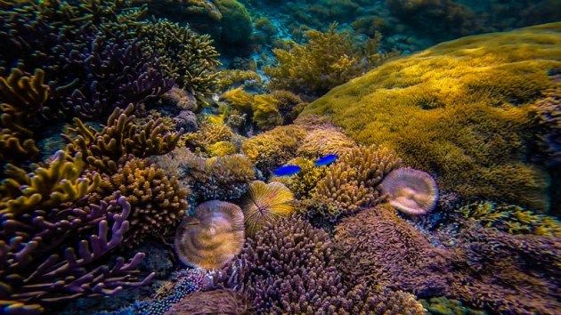 Photo of This Hidden Beach is Home to One of the World's Best Snorkelling Locations 8/9 by Lina Stock