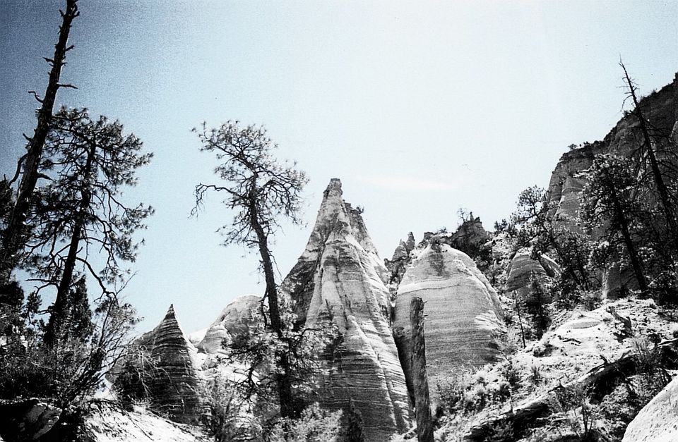 Photo of Road Trip New Mexico by Evalynn