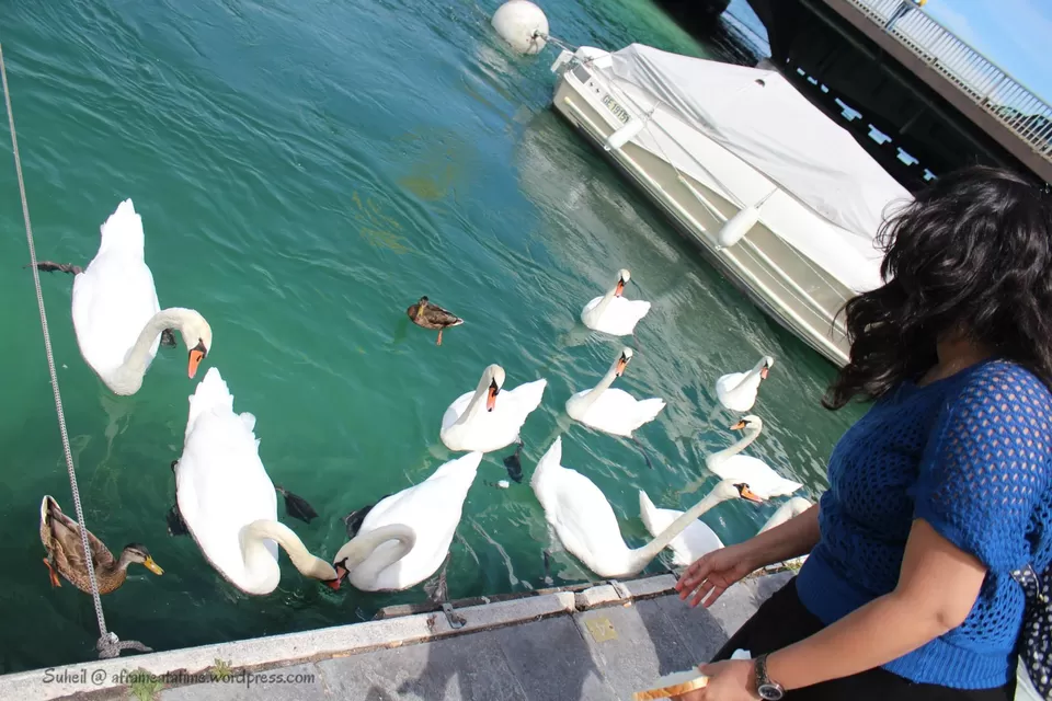 Photo of Geneva, Switzerland by Suheil Patel