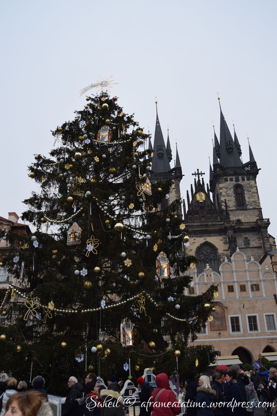 Photo of Sights, Sounds & Savor of Christmas Markets in Europe 21/67 by Suheil Patel