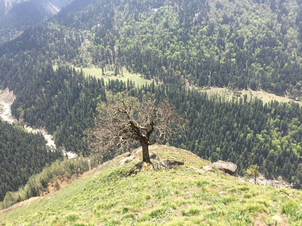 Photo of Trekking the Himalayas - Har Ki Dun 15/36 by Lopamudra Mohapatra