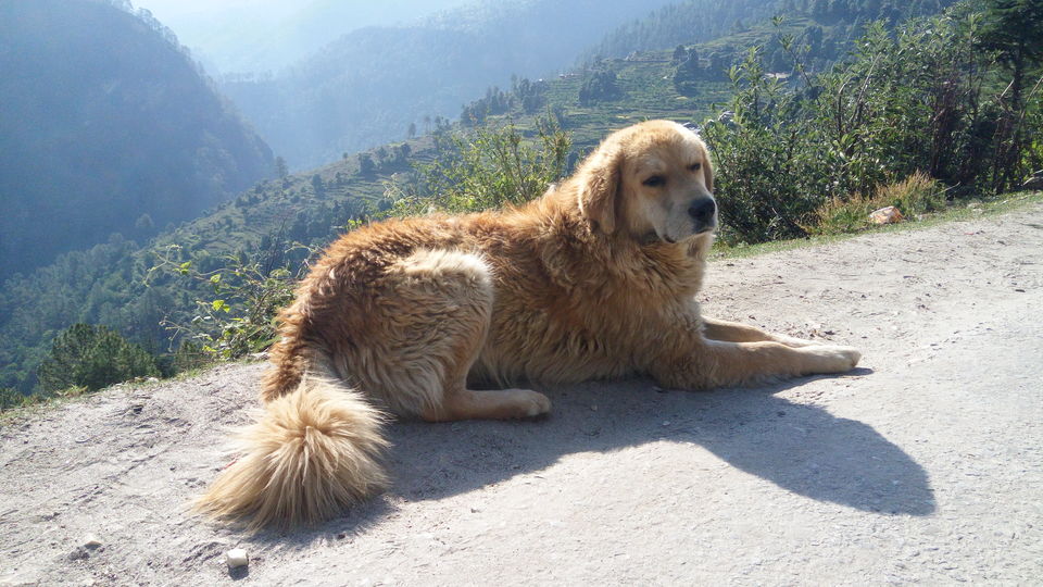 Photo of Trekking the Himalayas - Har Ki Dun 22/36 by Lopamudra Mohapatra