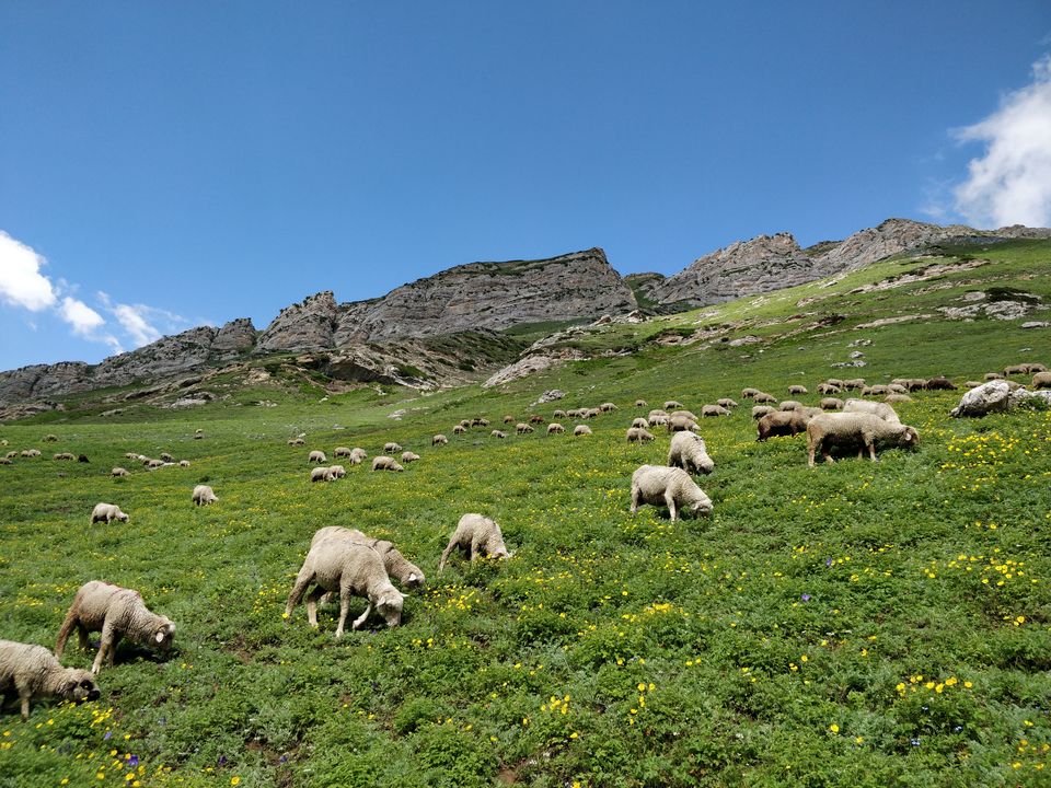Photo of Adventure.Meditation.Life - A Trek in the Himalayas (Kashmir Great Lakes) by Lopamudra Mohapatra