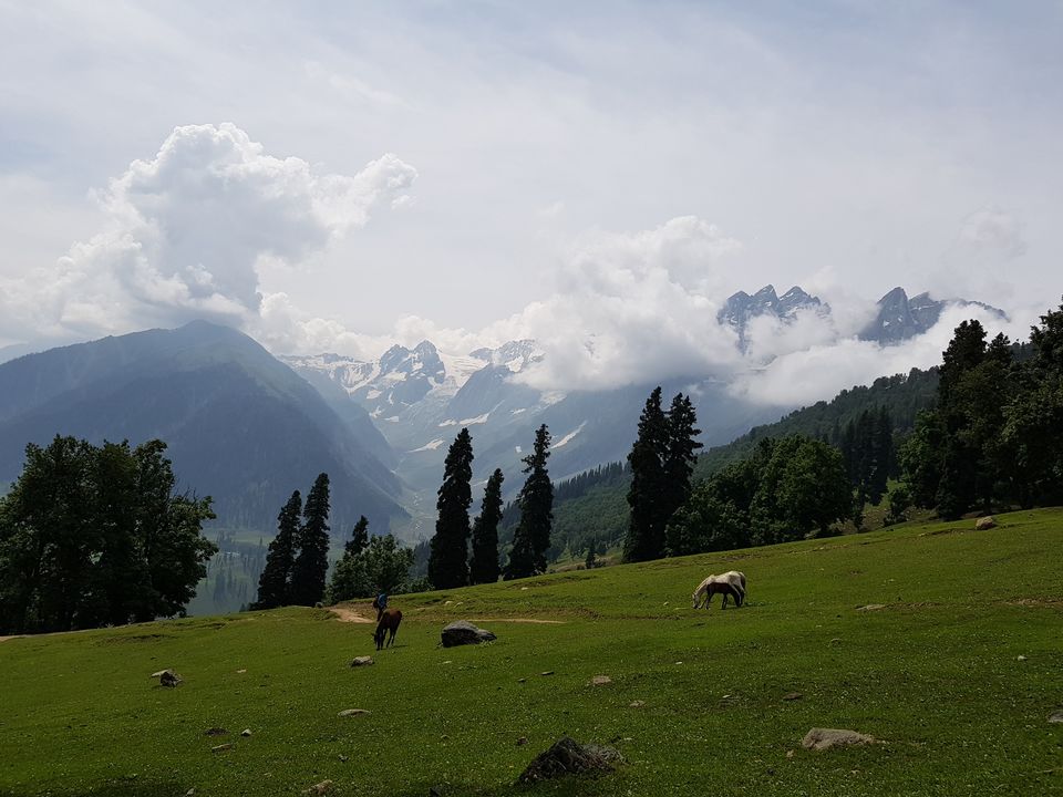 Photo of Adventure.Meditation.Life - A Trek in the Himalayas (Kashmir Great Lakes) by Lopamudra Mohapatra