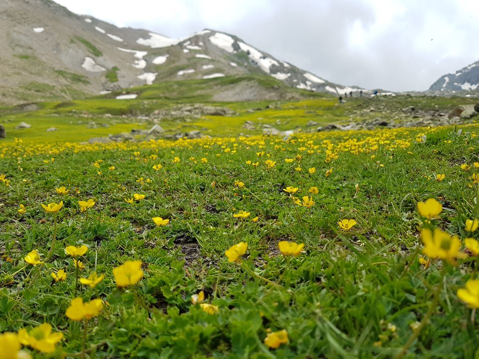 Photo of Adventure.Meditation.Life - A Trek in the Himalayas (Kashmir Great Lakes) by Lopamudra Mohapatra