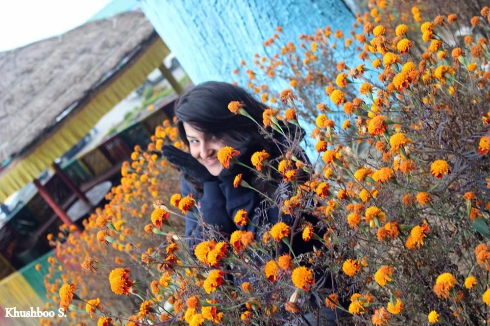Photo of North East India – Untouched and Unexplored 2/24 by Khushboo