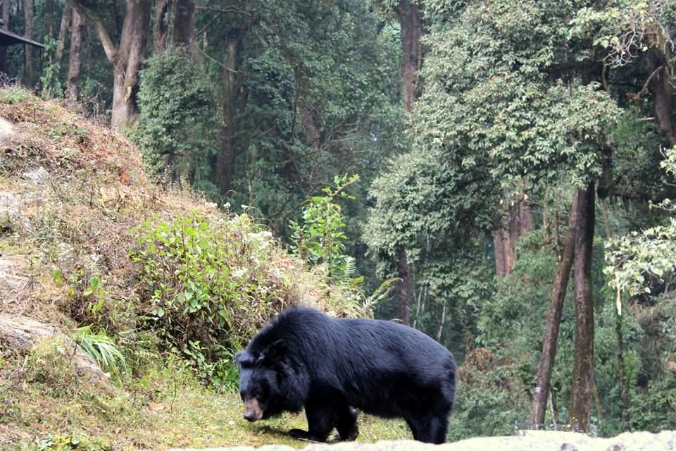 Photo of North East India – Untouched and Unexplored 5/24 by Khushboo