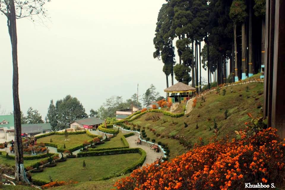 Photo of North East India – Untouched and Unexplored 11/24 by Khushboo