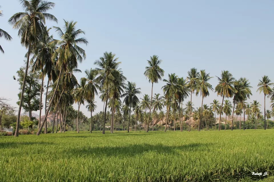 Photo of Anegundi, Karnataka, India by Akshata Rao
