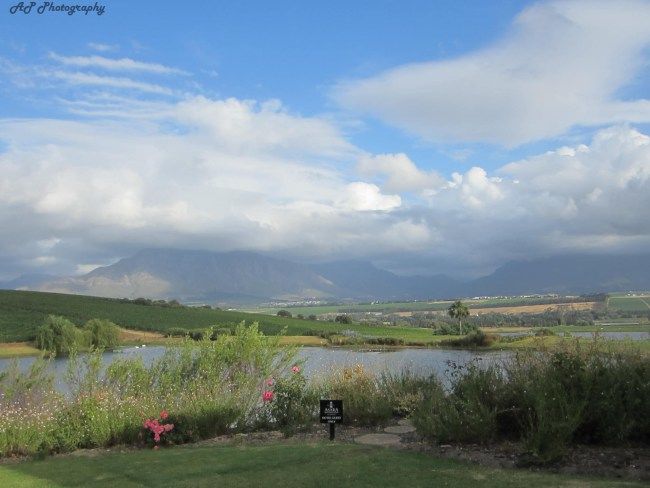 Photo of Stellenbosch, Western Cape, South Africa by Anushree Shenoy
