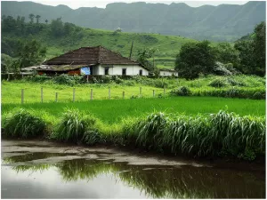 Photo of Karjat, Maharashtra, India by Anushree Shenoy