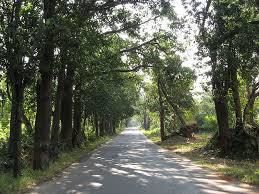 Photo of Khopoli, Maharashtra, India by Anushree Shenoy