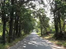 Photo of Khopoli, Maharashtra, India by Anushree Shenoy
