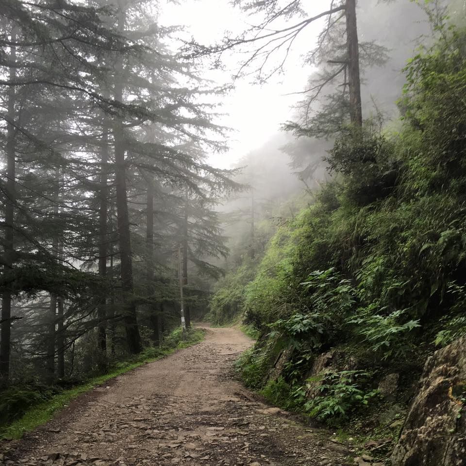 Photo of Dharamshala - Magic lies here 1/2 by Anushree Shenoy