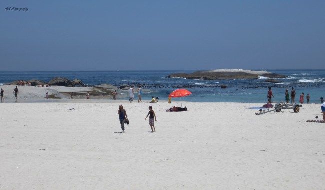 Photo of South Africa in 15 Days 6/13 by Anushree Shenoy
