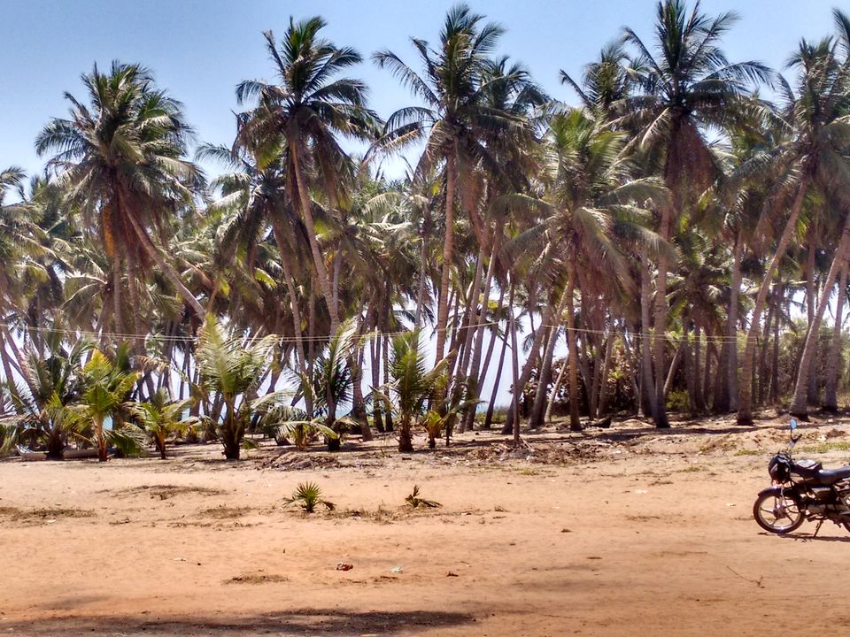 Photo of Pondicherry: A place to revive one's energies 13/24 by Jithin Raj