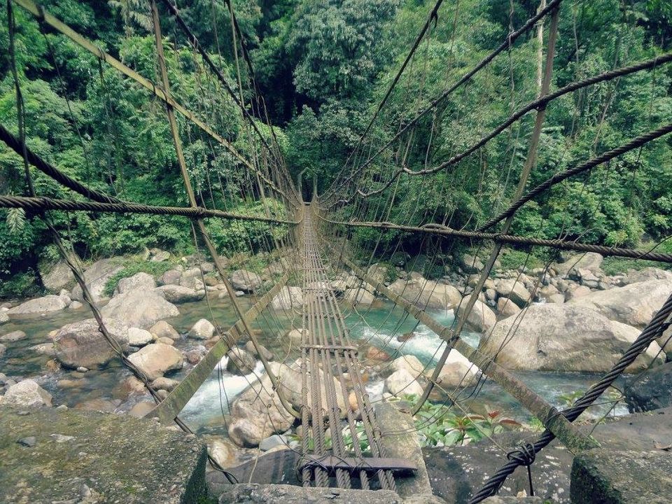 Photo of 'Heads in Clouds, Feet Firmly on Ground'- Meghalaya 7/12 by Sarita Nayak