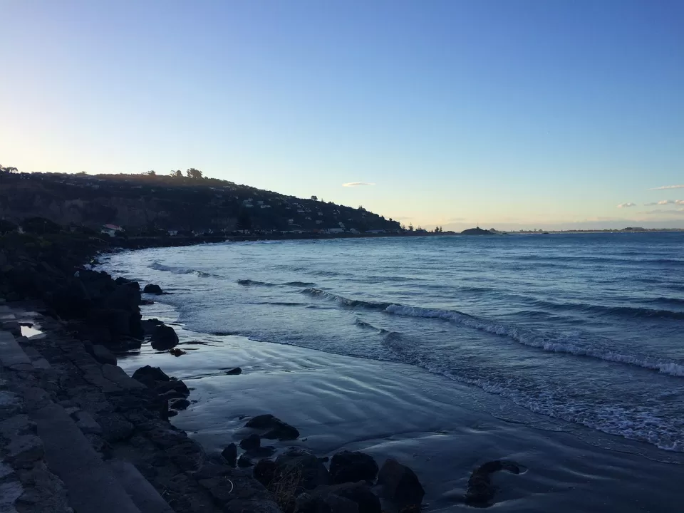 Photo of Scarborough Park, Christchurch, New Zealand by Sarita Nayak