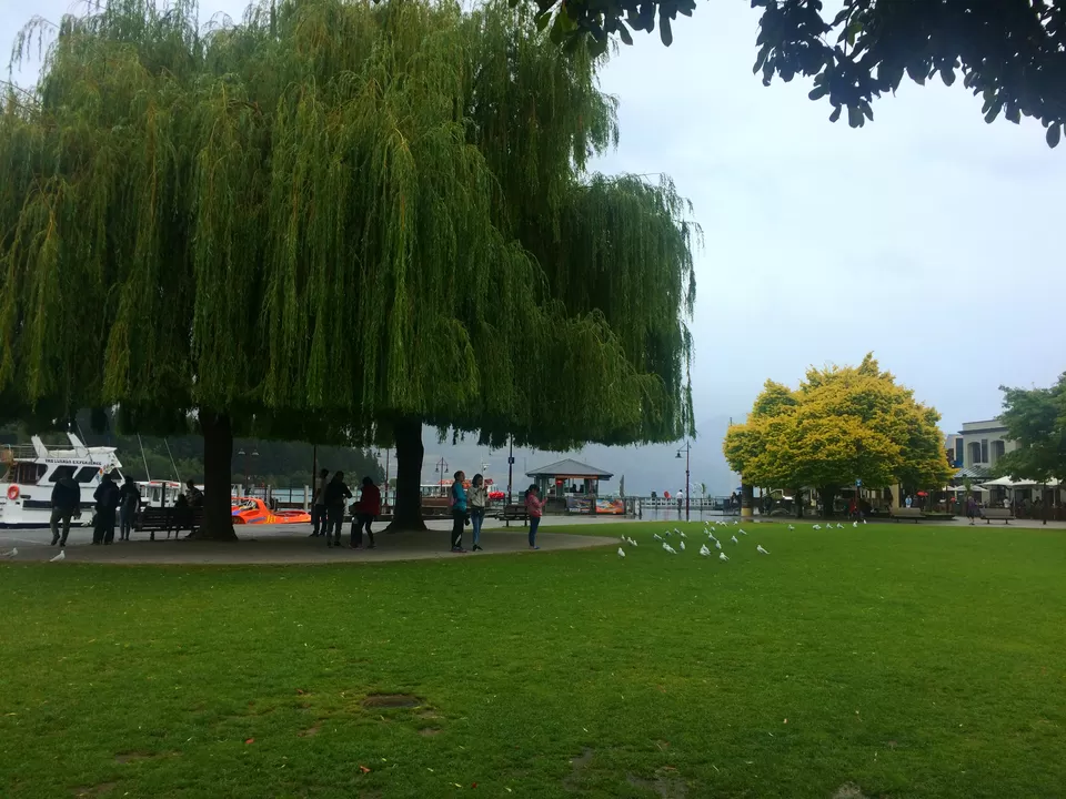 Photo of Queenstown Gardens, Queenstown, Otago, New Zealand by Sarita Nayak