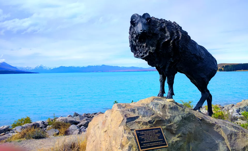 Photo of Lake Pukaki, Tekapo, Canterbury, New Zealand by Sarita Nayak