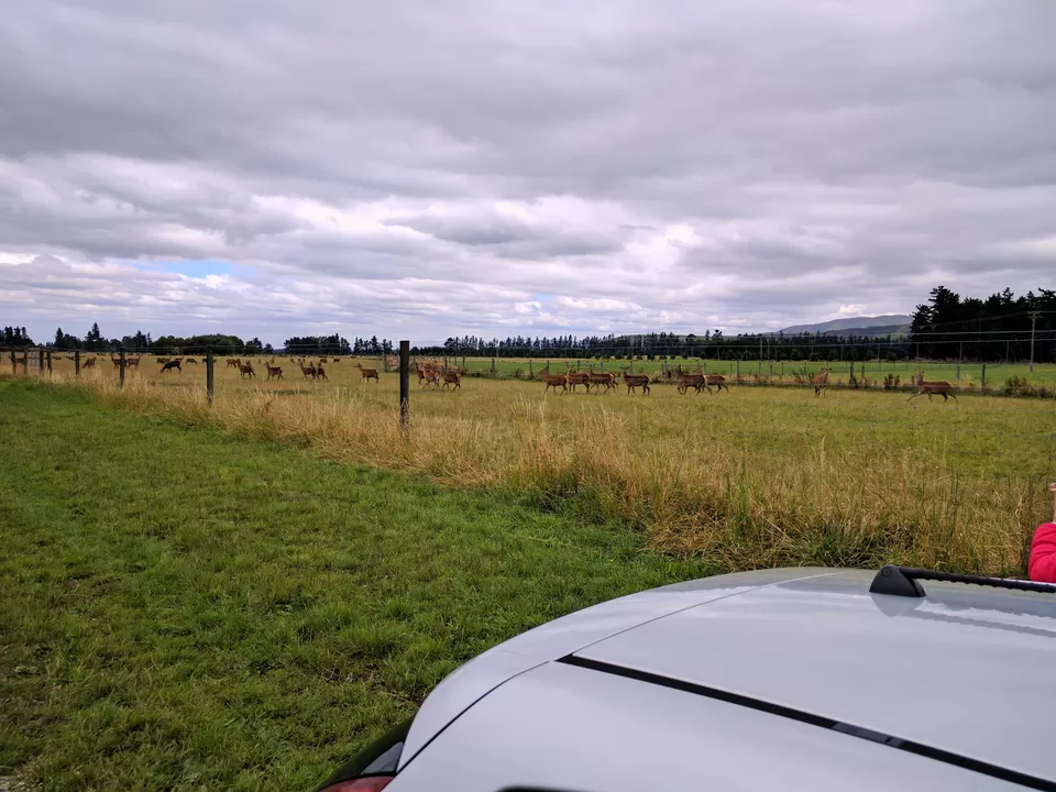 Photo of Yaldhurst Road, Christchurch, New Zealand by Sarita Nayak