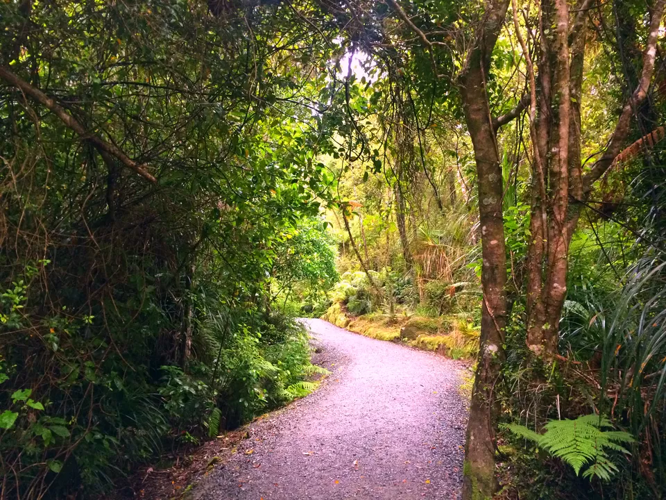 Photo of Hokitika Gorge, Kokatahi, New Zealand by Sarita Nayak