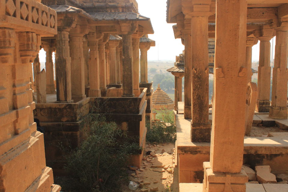 Photo of Yellow! 3/7 by Rohan Mukerjee
