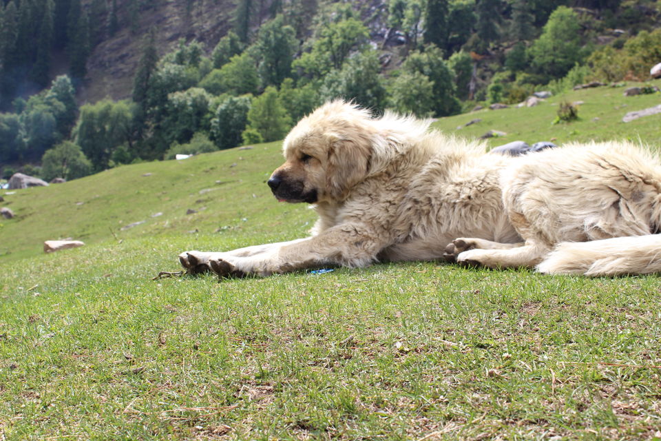 Photo of Talking to the Mountains... 1/6 by Rohan Mukerjee