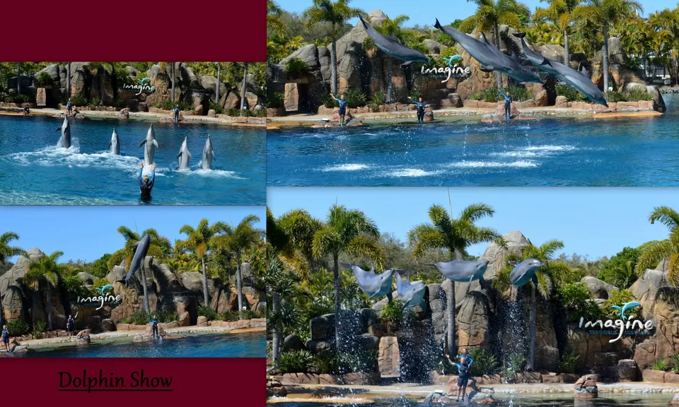 Photo of Sea World, Australia by Reetwik Jha