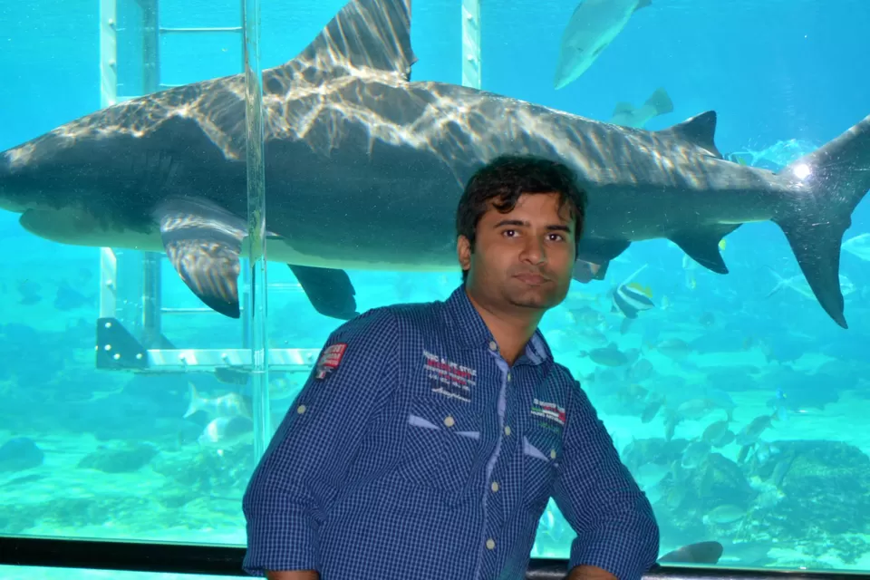 Photo of Sea World, Australia by Reetwik Jha