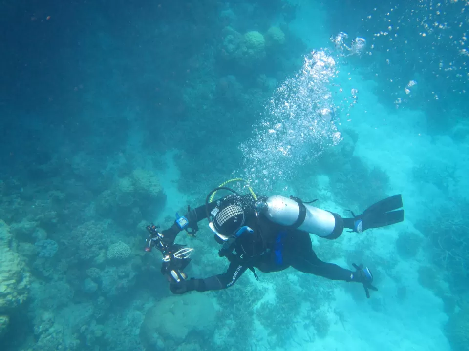Photo of Great Barrier Reef, Cairns QLD 4810, Australia by Reetwik Jha