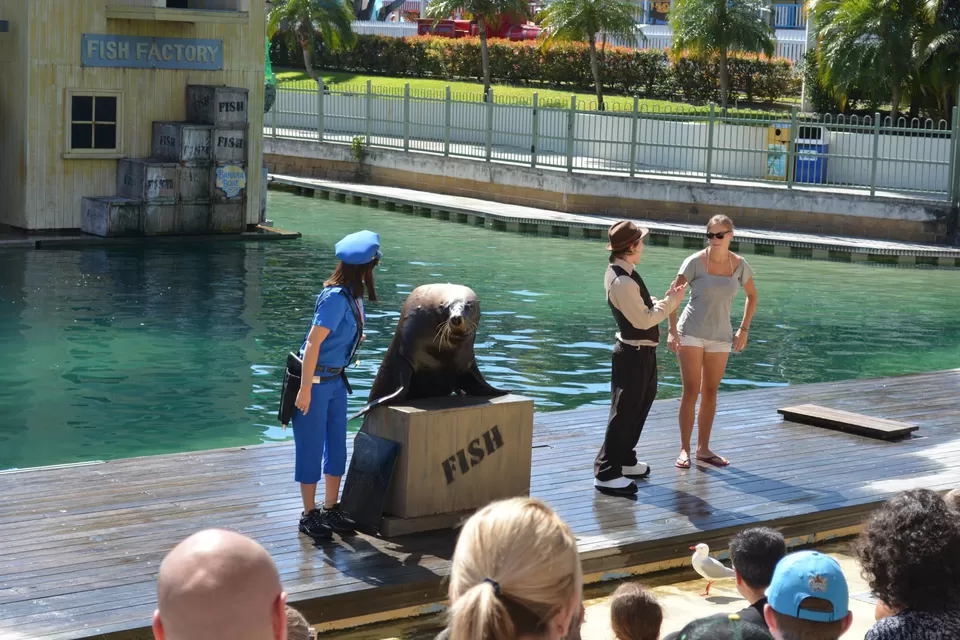 Photo of Sea World, Australia by Reetwik Jha