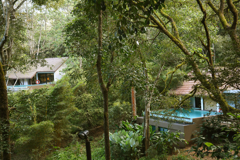Photo of The writer leaves his girlfriend alone to holiday in Coorg. What happens next is heartbreaking! 2/8 by Nishiraj A. Baruah
