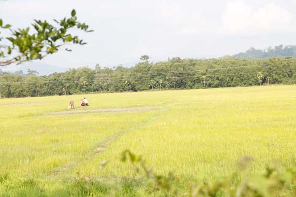 Photo of Road romance: She made for a perfect travel mate. If only... by Nishiraj A. Baruah