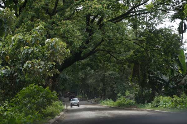 Photo of Road romance: She made for a perfect travel mate. If only... by Nishiraj A. Baruah
