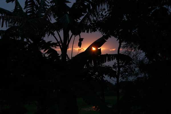Photo of Road romance: She made for a perfect travel mate. If only... by Nishiraj A. Baruah