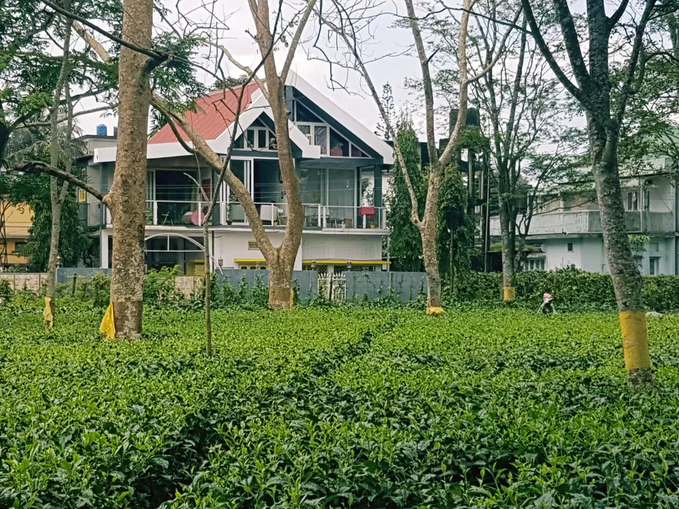 Photo of Homestay by the Tea Garden, Dibrugarh, Lane 6, Seujpur, Dibrugarh, Assam, India by Nishiraj A. Baruah