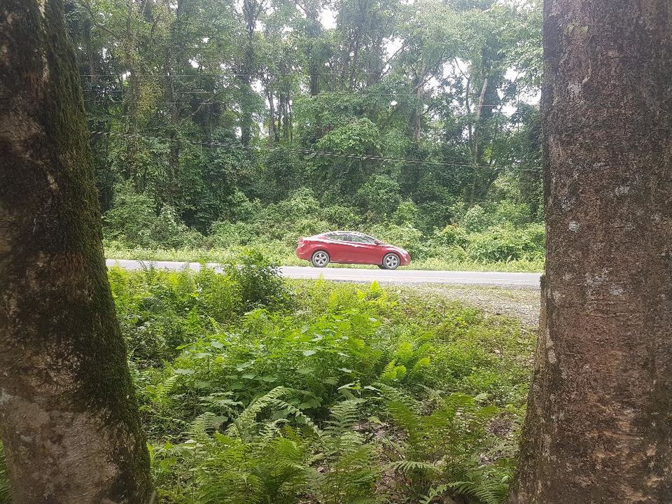 Photo of Road romance: She made for a perfect travel mate. If only... by Nishiraj A. Baruah