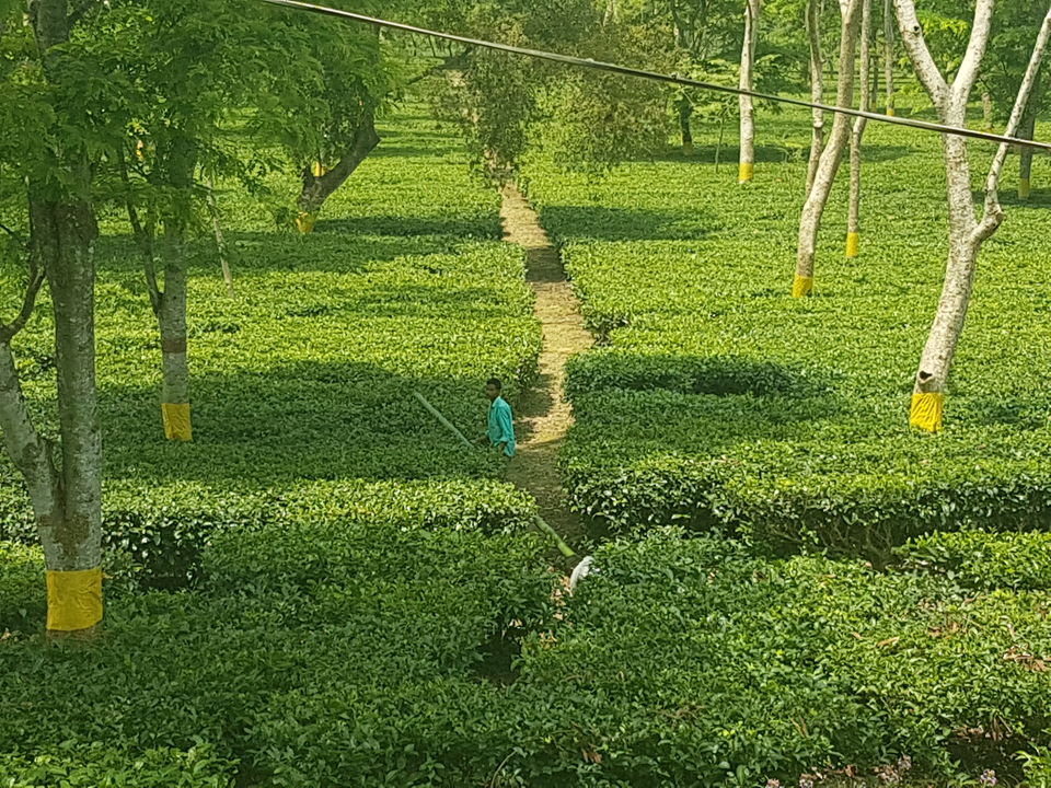 Photo of The bizarre story of a Swiss backpacker across a lockdowned India, as told by Nishiraj A. Baruah 3/27 by Nishiraj A. Baruah