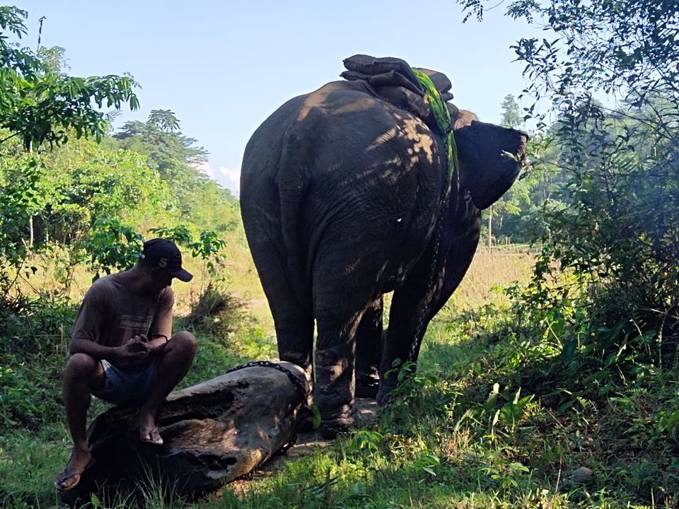 Photo of Just pack your undergarments and nothing much while on a trip to this Assam village 13/13 by Nishiraj A. Baruah