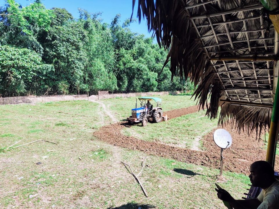 Photo of Just pack your undergarments and nothing much while on a trip to this Assam village 3/13 by Nishiraj A. Baruah