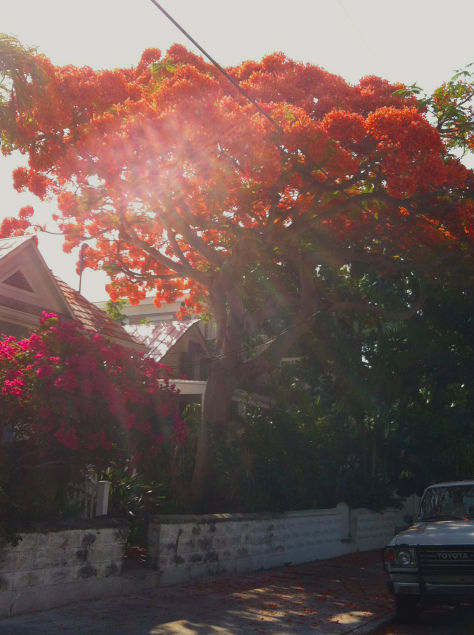 Photo of Florida Keys: America’s Caribbean Island 6/14 by Fresh Air Travel