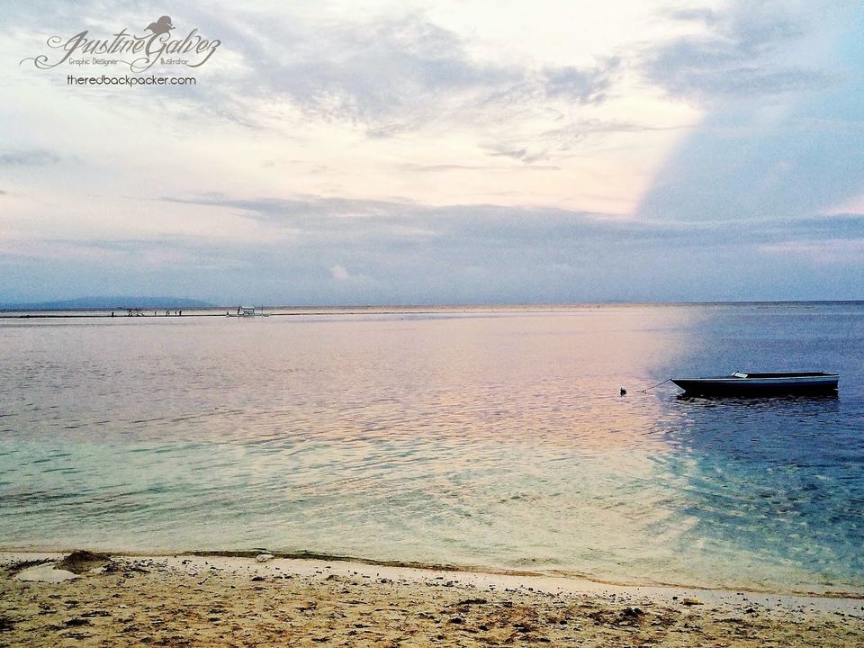 Oslob, Cebu: Swimming with the Whale Sharks - Tripoto