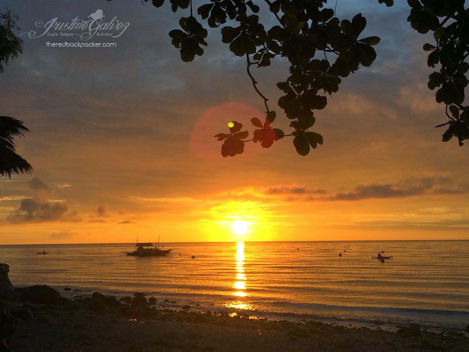 Oslob, Cebu: Swimming with the Whale Sharks - Tripoto