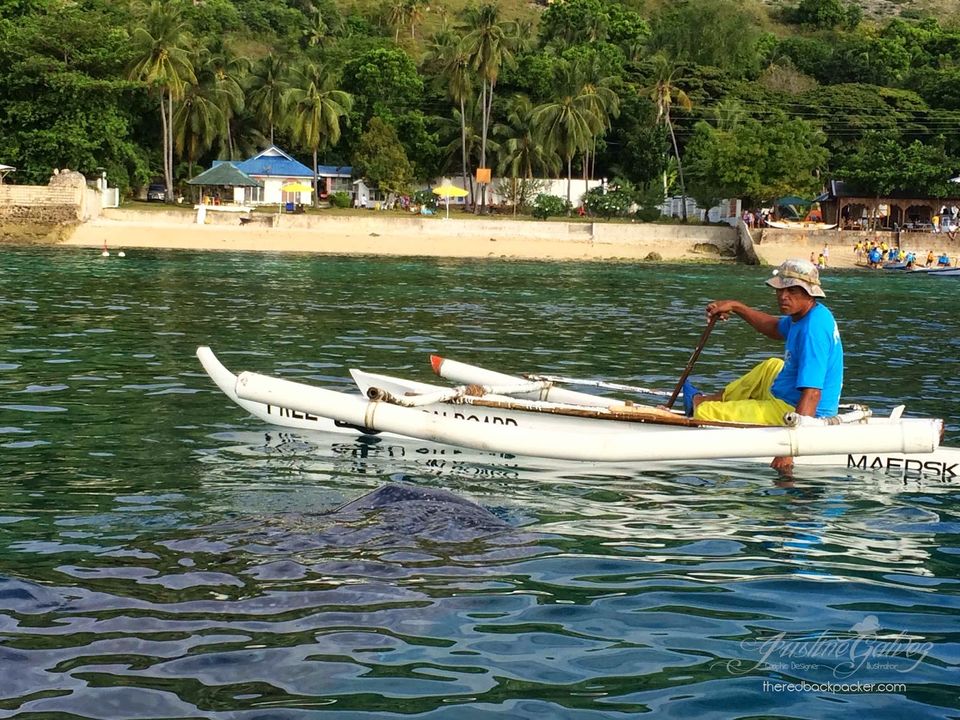 Photo of Oslob, Cebu: Swimming with the Whale Sharks 9/12 by Justine