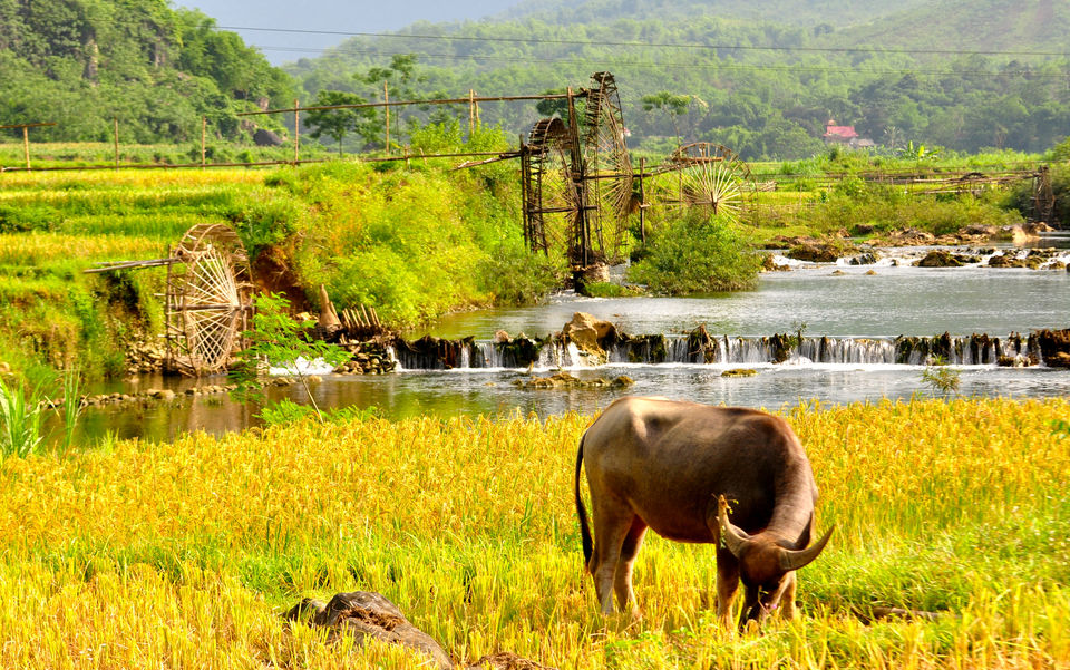 Photo of Puluong Retreat, Thành Lâm, Thanh Hoa, Vietnam by HGH Travel