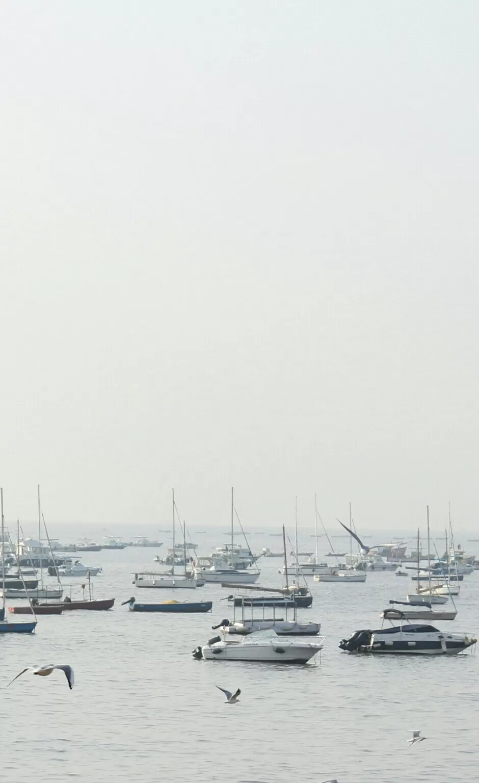 Photo of Arabian Sea by Abhishek Khamari