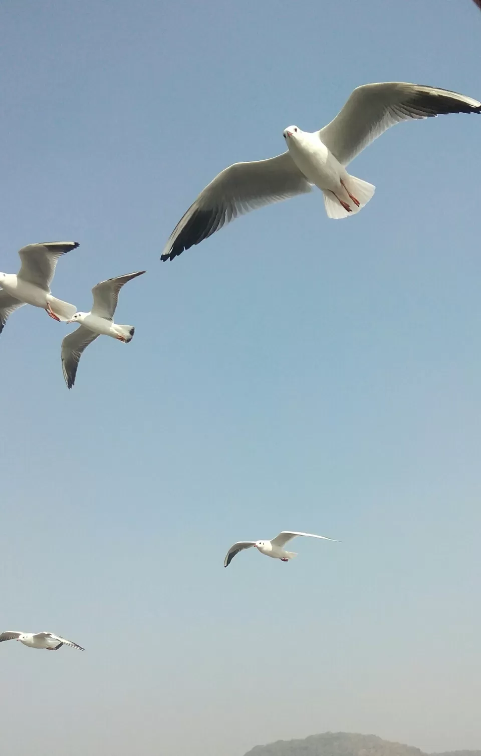 Photo of Arabian Sea by Abhishek Khamari