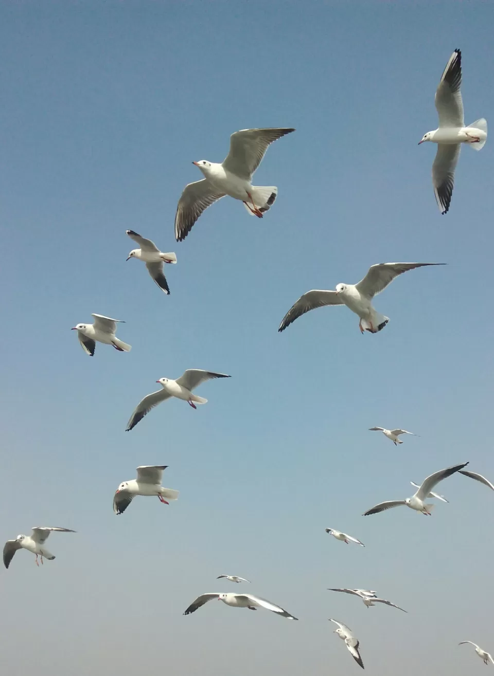 Photo of Arabian Sea by Abhishek Khamari