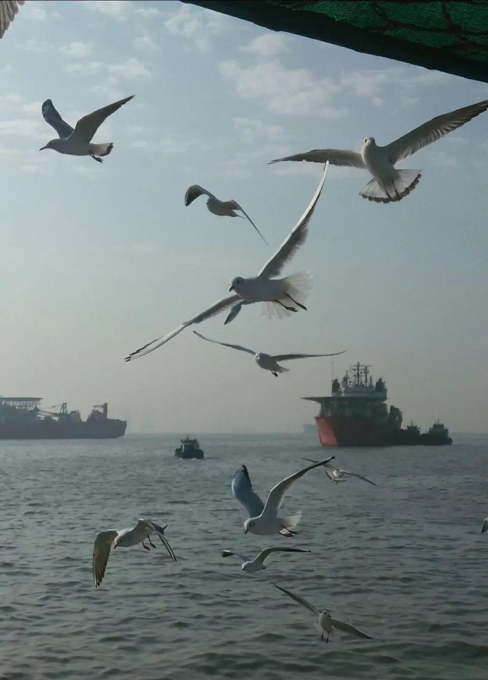 Photo of Arabian Sea by Abhishek Khamari